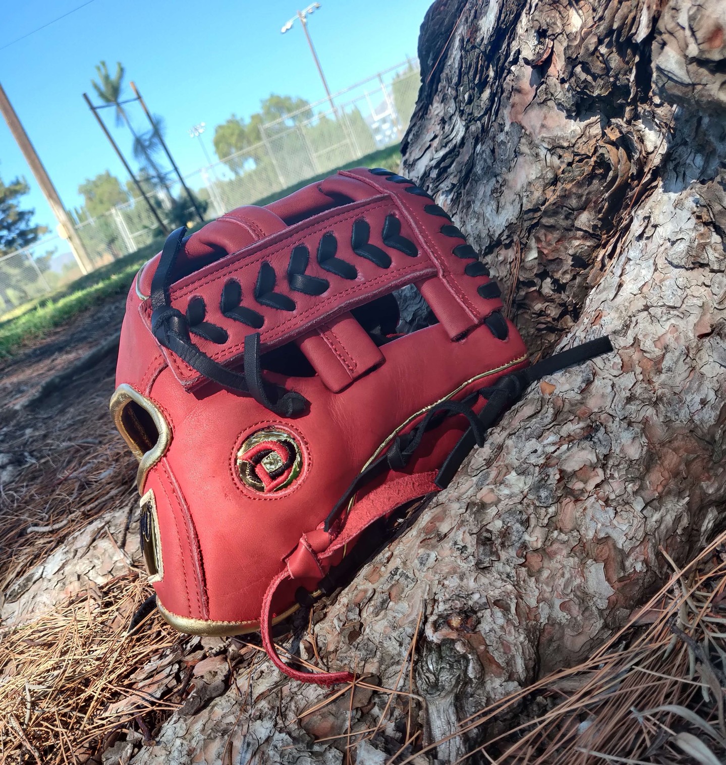 Red Royal Tip: 🔥 🔥 🔥